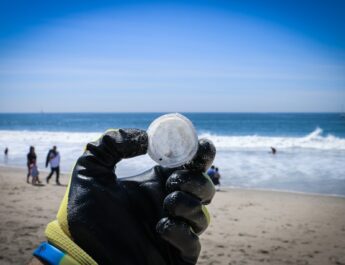 Elastiekenjacht op het strand van Sint-Annaland