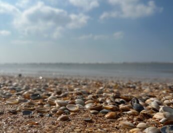 Strand- en Duinlopen weer van start