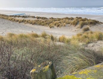 Beleving van de Nederlandse kust, 2022