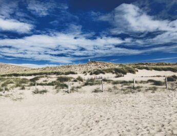 Doe mee & verlos de zee: Zondag 27 oktober strandschoonmaak Petten!