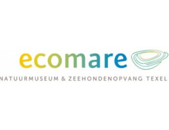 Ecomare brengt pasgeboren zeekat naar zee