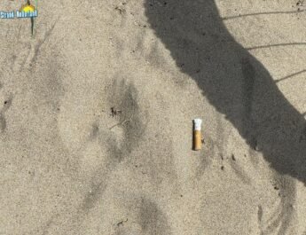 Strand is nog teveel een asbak