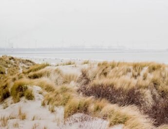 Strandtent haalt gelijk bij Raad van State; aanbouw mag blijven staan Strandtent haalt gelijk bij Raad van State; aanbouw mag blijven staan