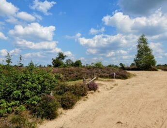 Politie grijpt in bij illegale carmeeting in Ermelo