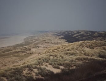 Gemeente Den Haag wil meer ruimte voor de natuur rondom haar stranden Gemeente Den Haag wil meer ruimte voor de natuur rondom haar stranden
